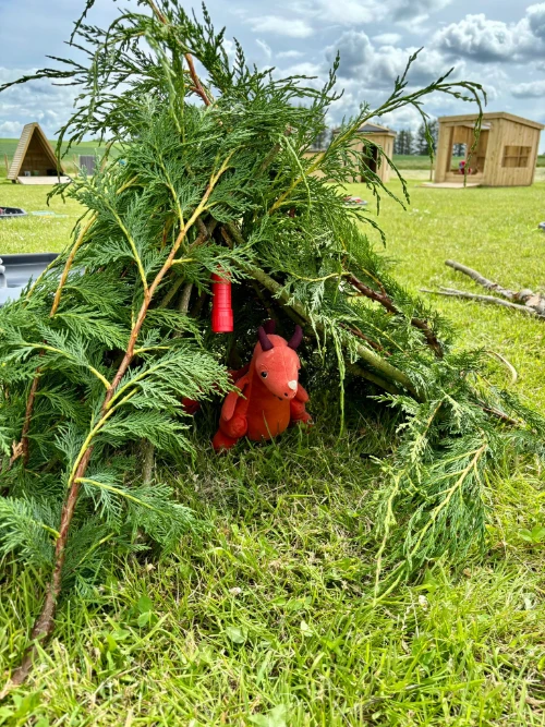 Willows Outdoor Learning-03